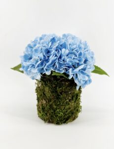 Blessed in Blue