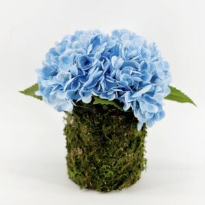 Blessed in Blue