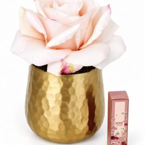 Stop and Smell The Roses