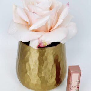 Stop and Smell The Roses