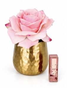 Stop and Smell The Roses