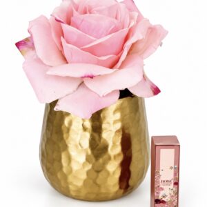 Stop and Smell The Roses
