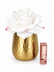 Stop and Smell The Roses